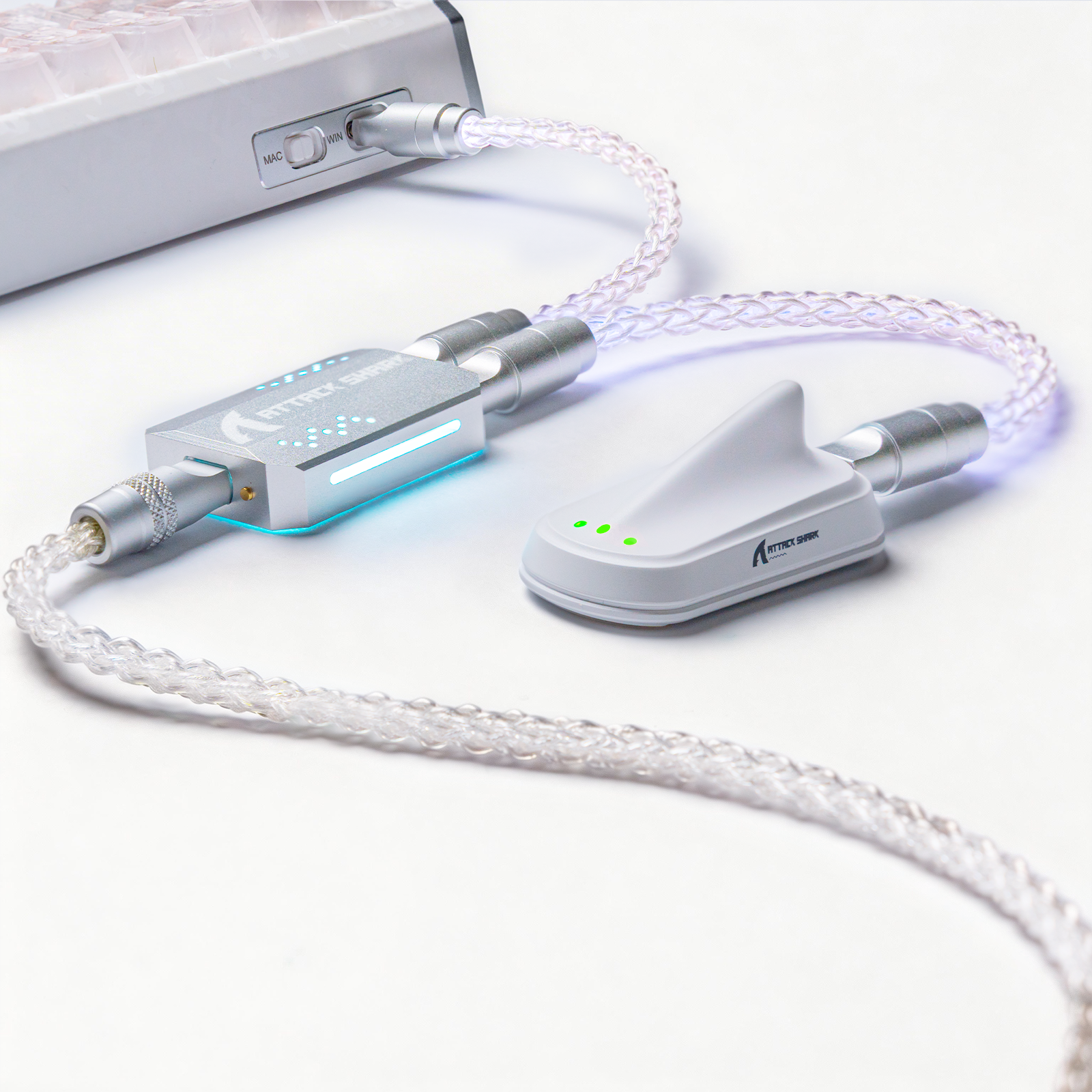Specialized Coiled Cable for Mouse | ATTACK SHARK